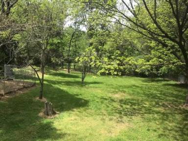 Main picture of 809 N Main St