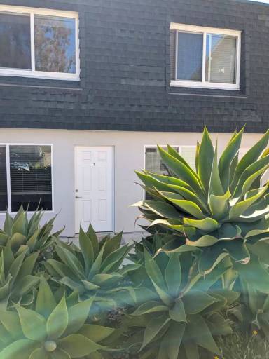 Main picture of 641 Shasta Ave