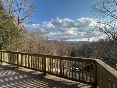 Main picture of 41 Blevins Knob Dr
