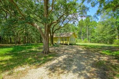 Main picture of 11263 Ronald Reagan Hwy