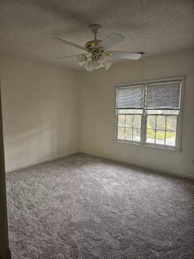 Main picture of 12220 Crabapple Chase Dr