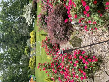 Main picture of 109 Pleasant Ridge Rd