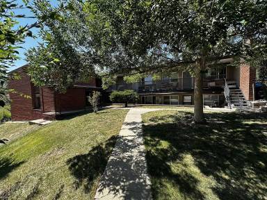 Main picture of 1255 Winona Ct