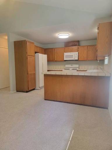 Main picture of 905 Wood Sorrel Dr