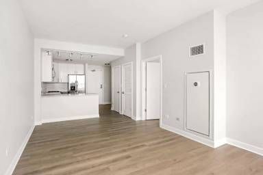 Main picture of 213 S Halsted St