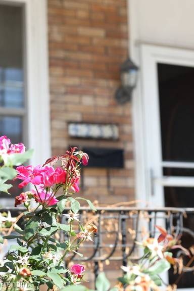 Main picture of 4233 Pechin St