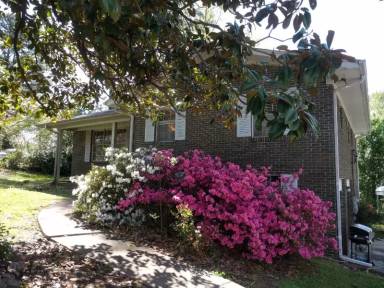 Main picture of 313 Donna Dr