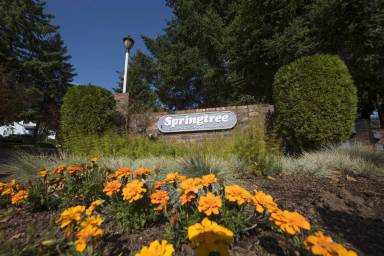 Main picture of Spring Tree Condominiums