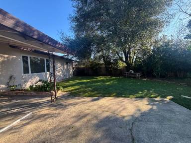 Main picture of 1006 Camelia Ave