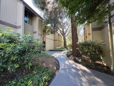 Main picture of Cypress Point Lakes Condominiums