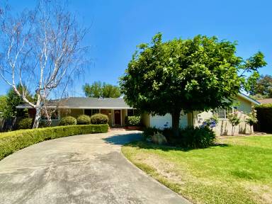 Main picture of 1284 Mandarin Dr