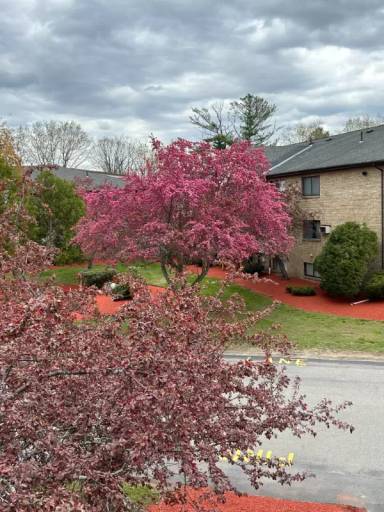 Main picture of 1 Lancelot Ct
