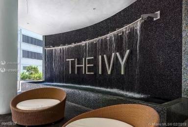Main picture of The Ivy