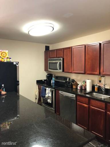 Main picture of 222 E Pearson Condominiums