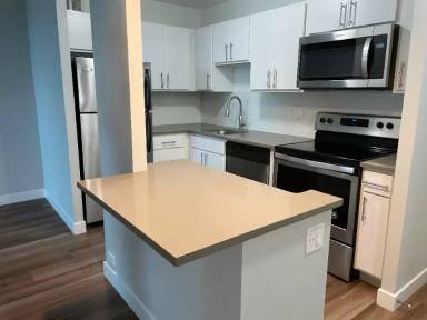 Main picture of 1115 S Michigan Ave