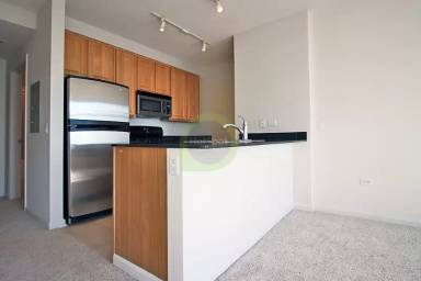Main picture of 217 N Desplaines St