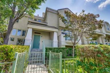 Main picture of 146 Holly Ct