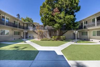 Main picture of 1235 Leigh Ave