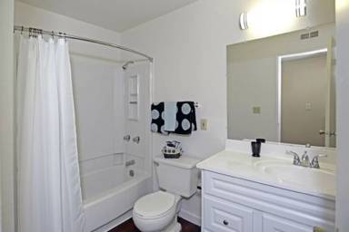 Main picture of Springtree Apartments