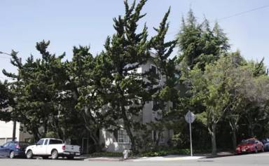 Main picture of 5499 Claremont Ave
