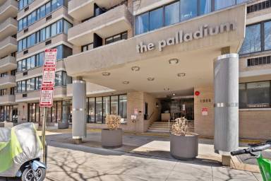 Main picture of Palladium