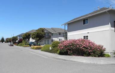 Main picture of 1619 Black Hawk Ln