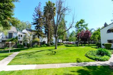 Main picture of Mission Grove