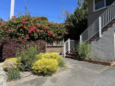Main picture of 100 Belvedere Dr