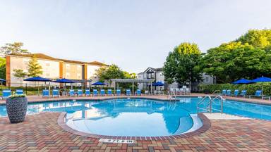 Main picture of The Social 1600