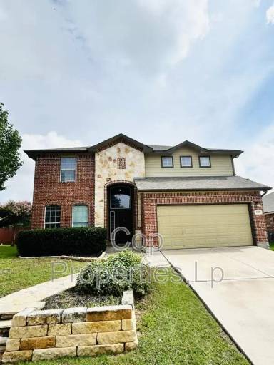 Main picture of 1209 Ruddy Duck