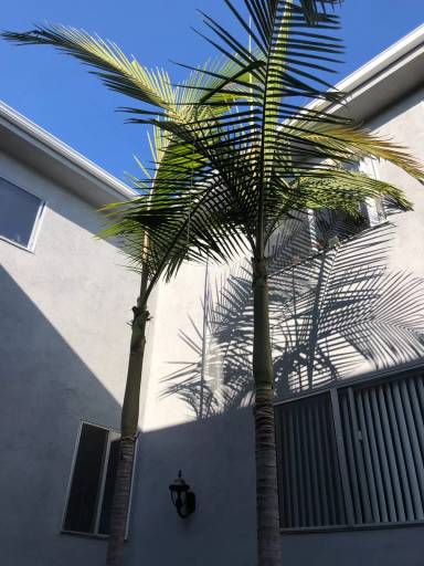 Main picture of 11007 Palms Blvd