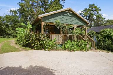 Main picture of 1111 North Martin Luther King Junior Boulevard - A