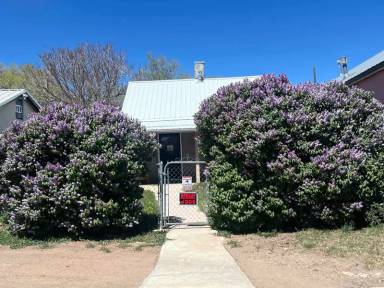 Main picture of 221 Railroad Ave