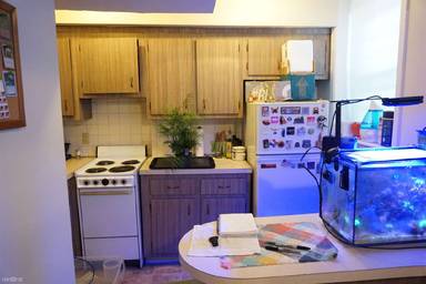 Main picture of 181 Thorndike St