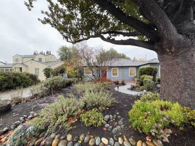 Main picture of 955 N California Ave