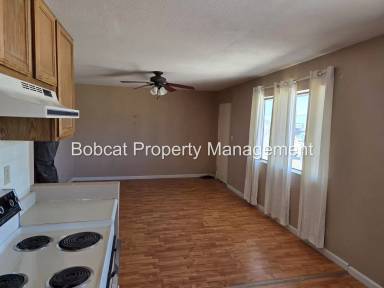 Main picture of 52355 Nevada Highway 376