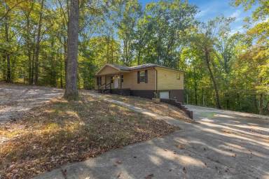 Main picture of 135 Bagsby Hill Ln