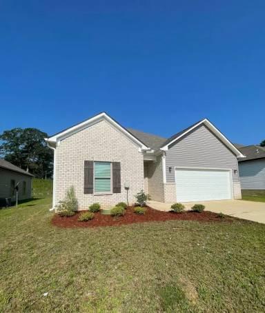 Main picture of 151 County Road 1019