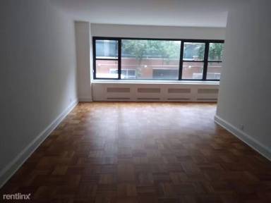 Main picture of 412 E 55th St