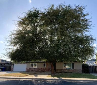 Main picture of 2520 Aspen St