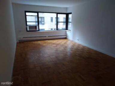 Main picture of 412 E 55th St