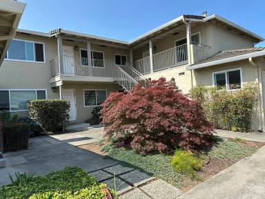 Main picture of 1239 Valerian Ct