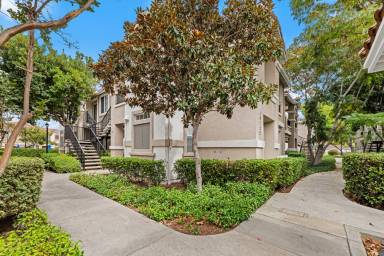 Main picture of 10722 Sabre Hill Dr