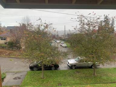 Main picture of 1911 S Bayview St