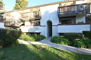 Main picture of 609 San Conrado Ter