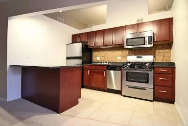Main picture of 1313 N Wells St