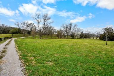 Main picture of 251 Cheatham Springs Rd