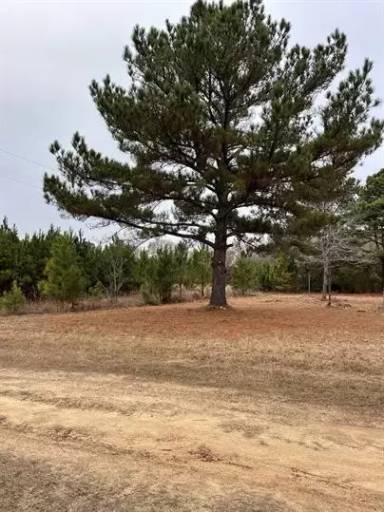 Main picture of 185 Cassidy Rd