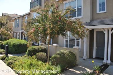 Main picture of Arroy Vista