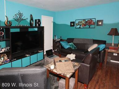 Main picture of 809 W Illinois St